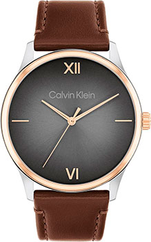 Часы Calvin Klein Ascend 25200453